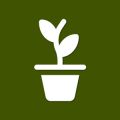Horta e Jardim - 