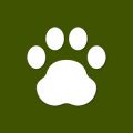 Agropecuária e Pets - 