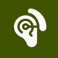 Fonoaudiologia - 